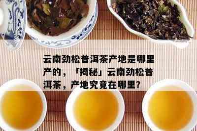 云南劲松普洱茶产地是哪里产的，「揭秘」云南劲松普洱茶，产地究竟在哪里？