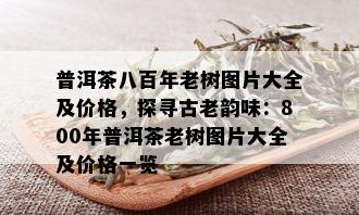 普洱茶八百年老树图片大全及价格，探寻古老韵味：800年普洱茶老树图片大全及价格一览