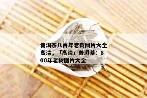 普洱茶八百年老树图片大全高清，「高清」普洱茶：800年老树图片大全