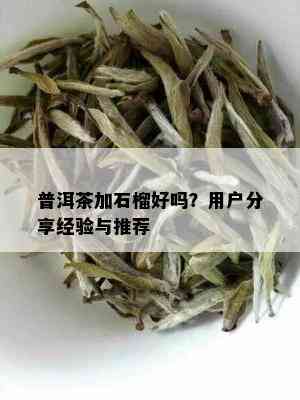 普洱茶加石榴好吗？用户分享经验与推荐