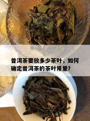 普洱茶要放多少茶叶，如何确定普洱茶的茶叶用量？