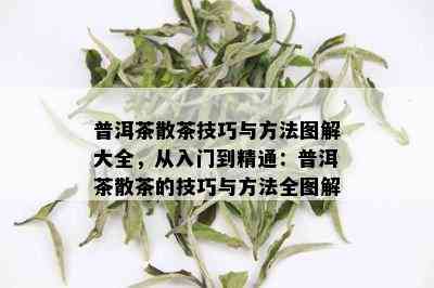 普洱茶散茶技巧与方法图解大全，从入门到精通：普洱茶散茶的技巧与方法全图解