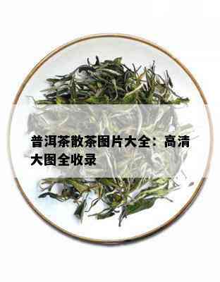 普洱茶散茶图片大全：高清大图全收录