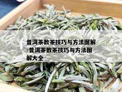 普洱茶散茶技巧与方法图解-普洱茶散茶技巧与方法图解大全