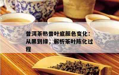 普洱茶熟普叶底颜色变化：从黑到绿，解析茶叶陈化过程