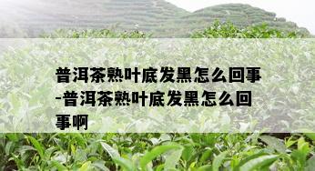 普洱茶熟叶底发黑怎么回事-普洱茶熟叶底发黑怎么回事啊