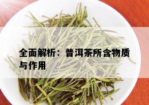 全面解析：普洱茶所含物质与作用