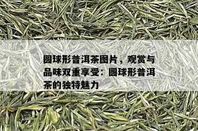 圆球形普洱茶图片，观赏与品味双重享受：圆球形普洱茶的独特魅力