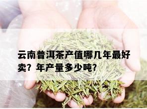 云南普洱茶产值哪几年更好卖？年产量多少吨？