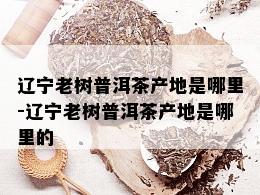 辽宁老树普洱茶产地是哪里-辽宁老树普洱茶产地是哪里的