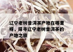 辽宁老树普洱茶产地在哪里呀，探寻辽宁老树普洱茶的产地之旅