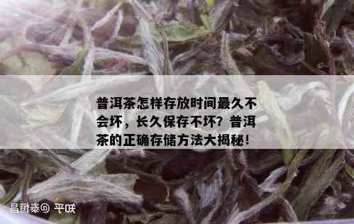 普洱茶怎样存放时间最久不会坏，长久保存不坏？普洱茶的正确存储方法大揭秘！