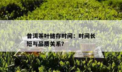 普洱茶叶储存时间：时间长短与品质关系？