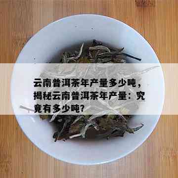 云南普洱茶年产量多少吨，揭秘云南普洱茶年产量：究竟有多少吨？