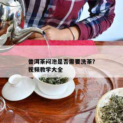 普洱茶闷泡是否需要洗茶？视频教学大全