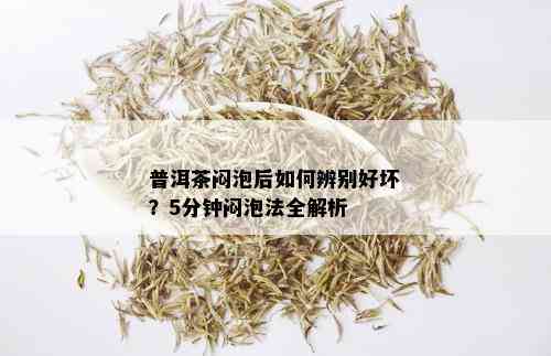 普洱茶闷泡后如何辨别好坏？5分钟闷泡法全解析