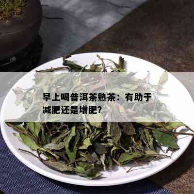 早上喝普洱茶熟茶：有助于减肥还是增肥？