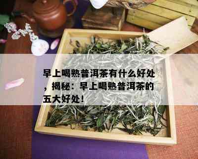 早上喝熟普洱茶有什么好处，揭秘：早上喝熟普洱茶的五大好处！