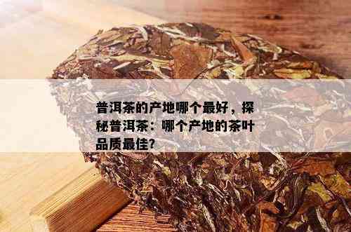 普洱茶的产地哪个更好，探秘普洱茶：哪个产地的茶叶品质更佳？