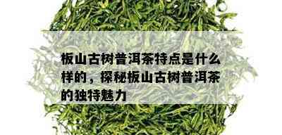 板山古树普洱茶特点是什么样的，探秘板山古树普洱茶的独特魅力