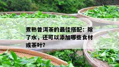 煮熟普洱茶的更佳搭配：除了水，还可以添加哪些食材或茶叶？