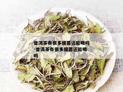 普洱茶有很多细菌还能喝吗-普洱茶有很多细菌还能喝吗