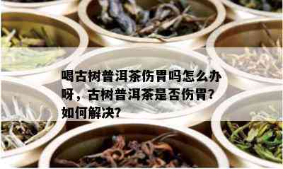 喝古树普洱茶伤胃吗怎么办呀，古树普洱茶是否伤胃？如何解决？