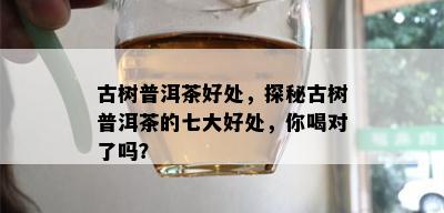 古树普洱茶好处，探秘古树普洱茶的七大好处，你喝对了吗？