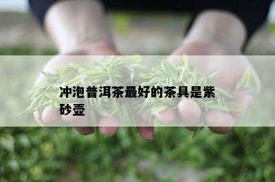 冲泡普洱茶更好的茶具是紫砂壶