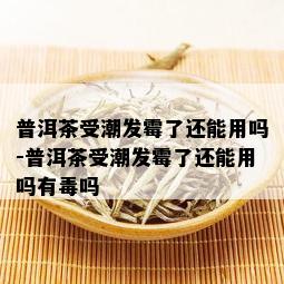 普洱茶受潮发霉了还能用吗-普洱茶受潮发霉了还能用吗有吗