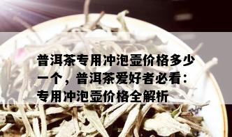 普洱茶专用冲泡壶价格多少一个，普洱茶爱好者必看：专用冲泡壶价格全解析