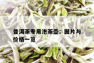 普洱茶专用泡茶壶：图片与价格一览