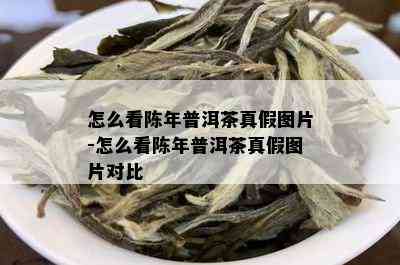 怎么看陈年普洱茶真假图片-怎么看陈年普洱茶真假图片对比