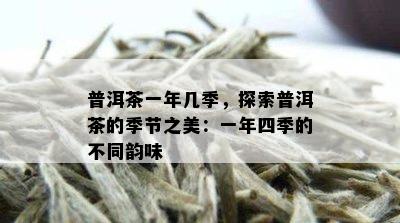 普洱茶一年几季，探索普洱茶的季节之美：一年四季的不同韵味