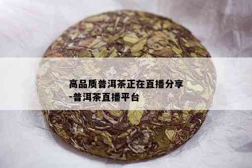 高品质普洱茶正在直播分享-普洱茶直播平台