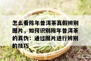 怎么看陈年普洱茶真假辨别图片，如何识别陈年普洱茶的真伪：通过图片进行辨别的技巧