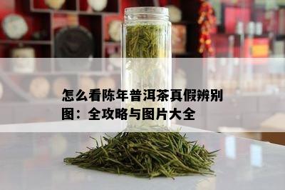 怎么看陈年普洱茶真假辨别图：全攻略与图片大全