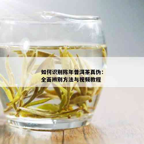 如何识别陈年普洱茶真伪：全面辨别方法与视频教程