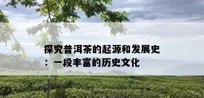 探究普洱茶的起源和发展史：一段丰富的历史文化