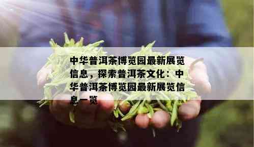 中华普洱茶博览园最新展览信息，探索普洱茶文化：中华普洱茶博览园最新展览信息一览