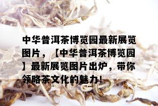 中华普洱茶博览园最新展览图片，【中华普洱茶博览园】最新展览图片出炉，带你领略茶文化的魅力！