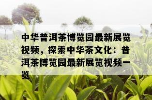 中华普洱茶博览园最新展览视频，探索中华茶文化：普洱茶博览园最新展览视频一览