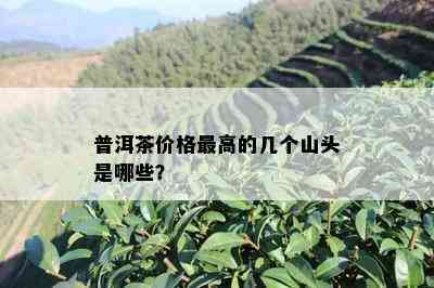 普洱茶价格更高的几个山头是哪些？