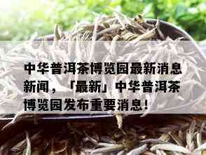 中华普洱茶博览园最新消息新闻，「最新」中华普洱茶博览园发布重要消息！