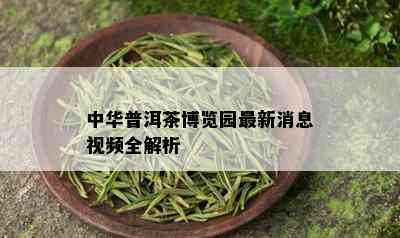 中华普洱茶博览园最新消息视频全解析