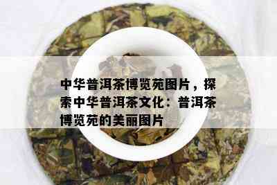 中华普洱茶博览苑图片，探索中华普洱茶文化：普洱茶博览苑的美丽图片