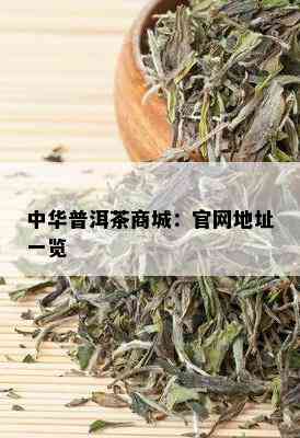 中华普洱茶商城：官网地址一览