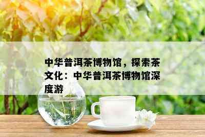 中华普洱茶博物馆，探索茶文化：中华普洱茶博物馆深度游