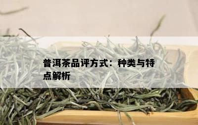 普洱茶品评方式：种类与特点解析