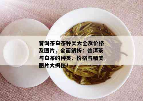 普洱茶白茶种类大全及价格及图片，全面解析：普洱茶与白茶的种类、价格与精美图片大揭秘！